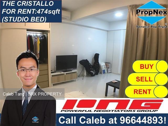 The Cristallo (D15), Apartment #182333132